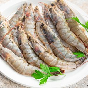 Frozen Shrimp