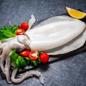 Cuttlefish