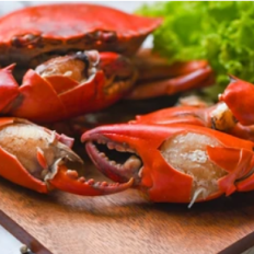 Crab