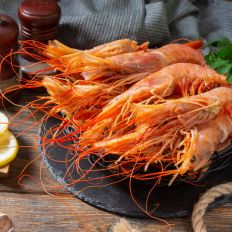 Shrimp