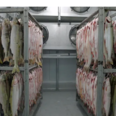 Air-blast freezers